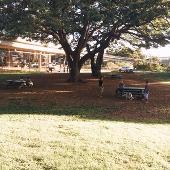 Dog Park at Moanalua Community Park photo 2